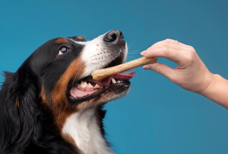 Dog-Owners