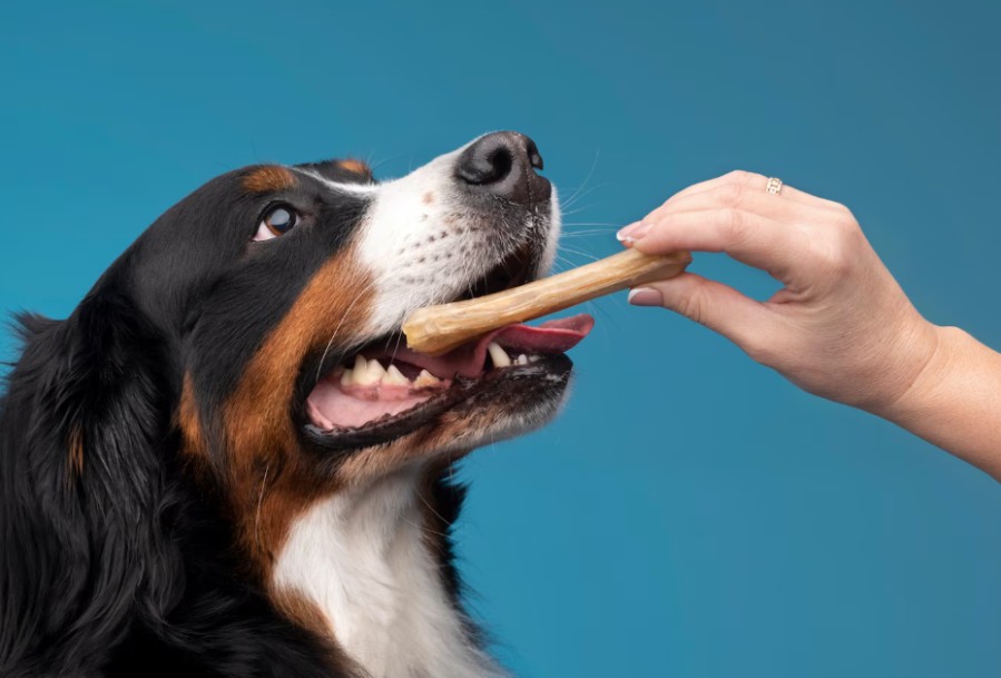 Dog-Owners